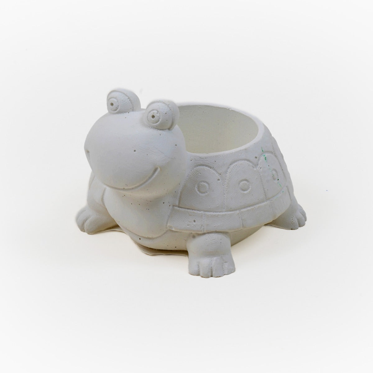 DIY My Little Plant Pot -  Turtle time : Paint and Shine