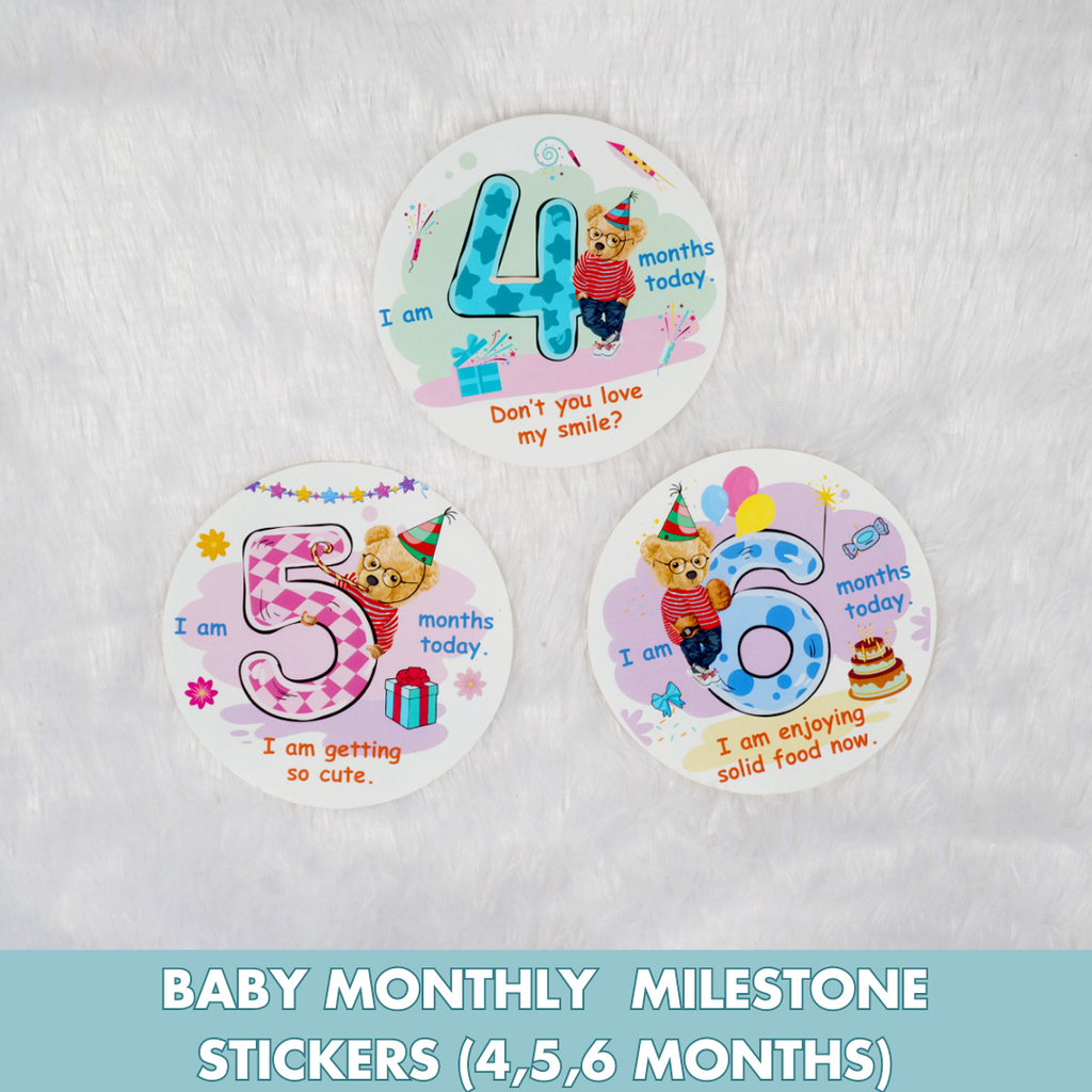 Montessori Activity Toys for 4-6  Months