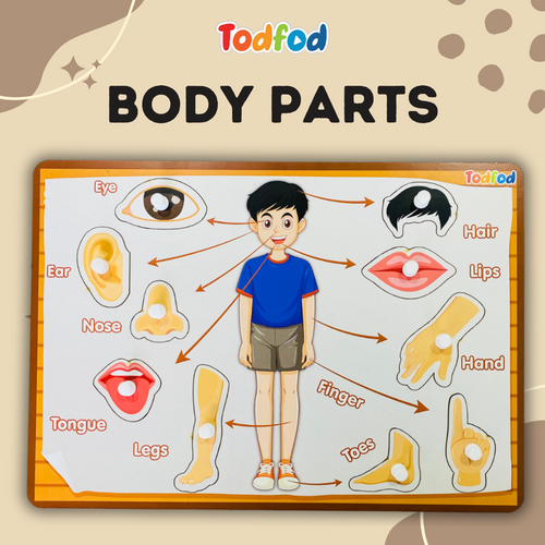 Body Parts & Shapes Characters Wooden Knob & Pegged Puzzle for Kids