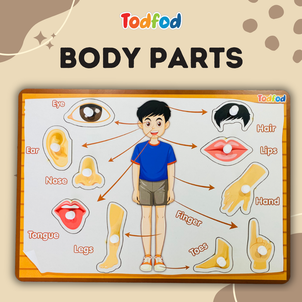 Fruit and Body Parts Wooden Knob & Pegged Puzzle for Kids