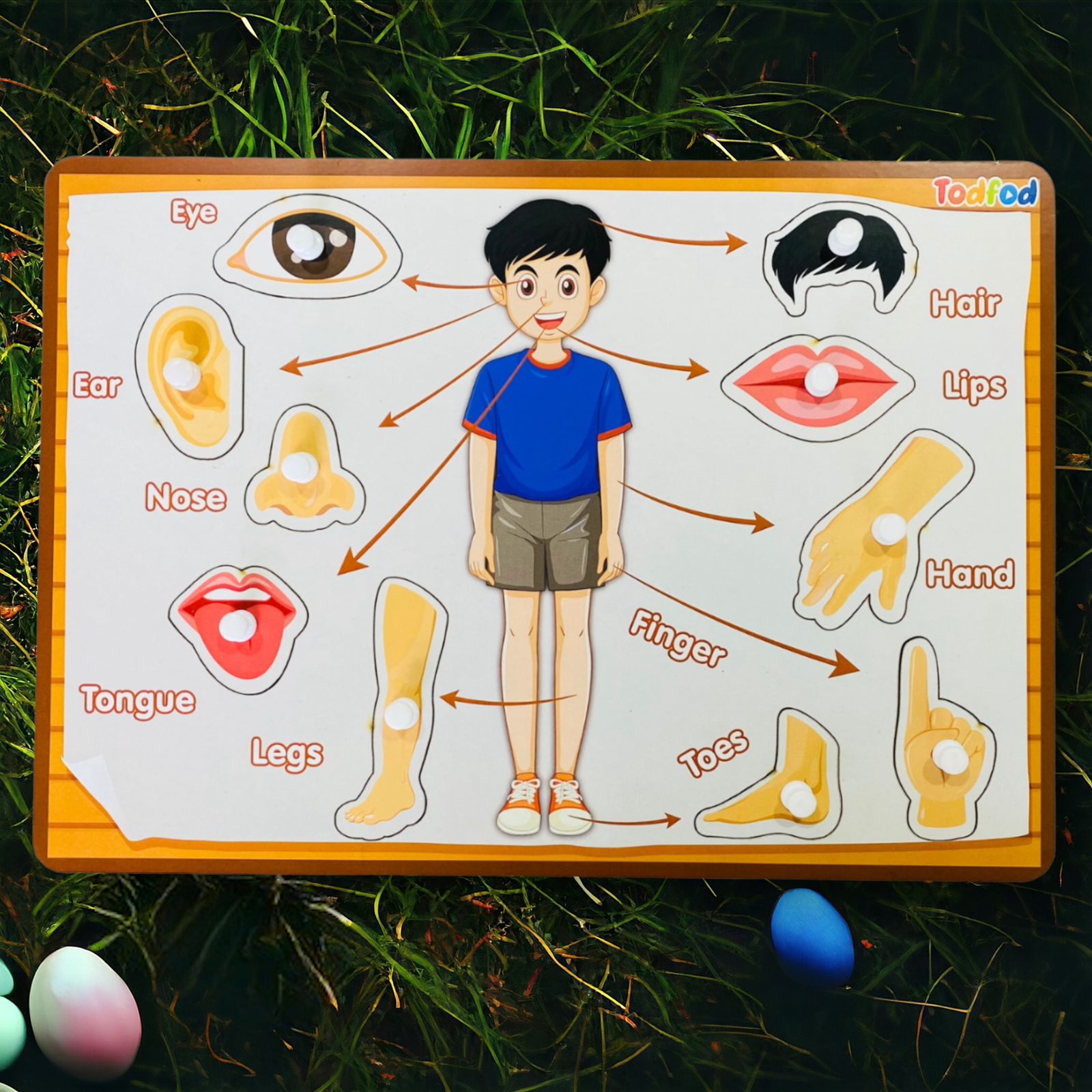 Fruit and Body Parts Wooden Knob & Pegged Puzzle for Kids