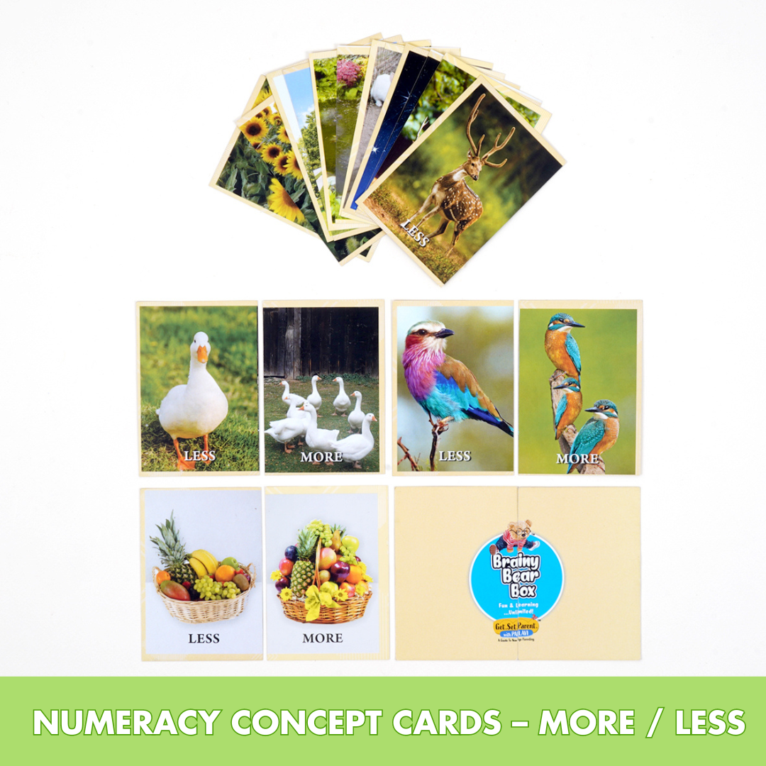 Montessori Activity Toys for 19 Months