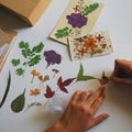 DRIED PRESS FLOWER