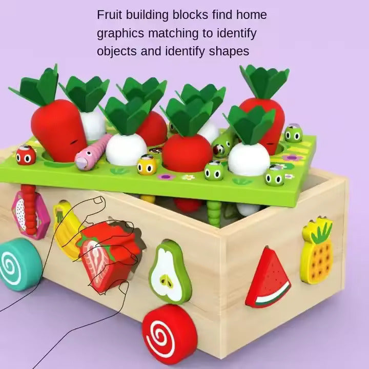 Wooden Carrot Harvest Educational Toy