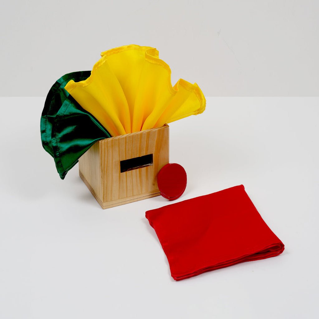 Montessori & Brain Development Toys for 10-12 Months