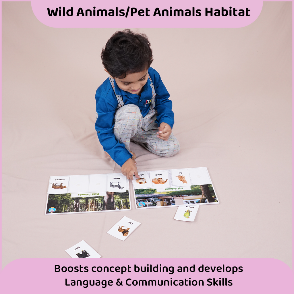 Animal Theme Montessori Activity Box (2-4 Years)